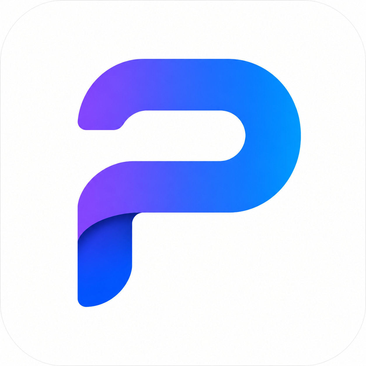 PayLink Pro